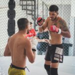 Fight prediction analysis