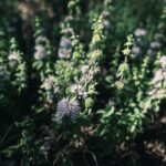 Kevin Hart energetic pose