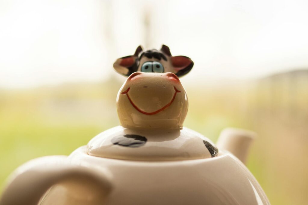 quirky novelty gifts under 10 pounds