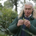 Alan Titchmarsh Rosemary