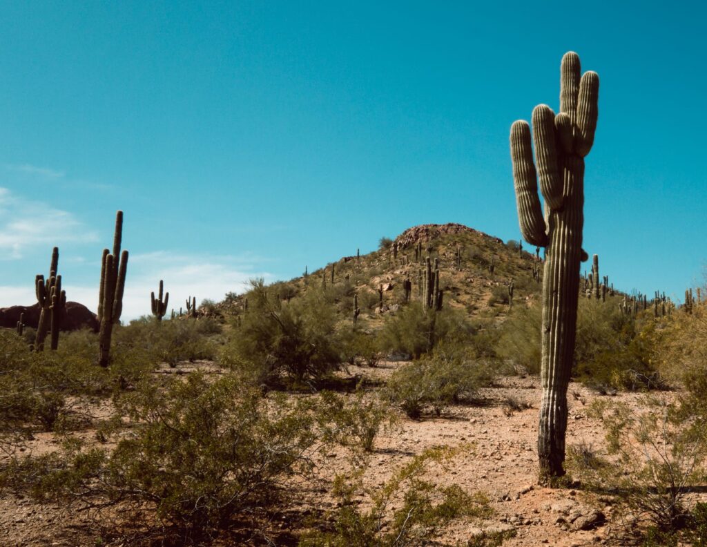 Arizona desert time
