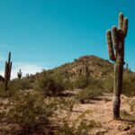 Arizona desert time