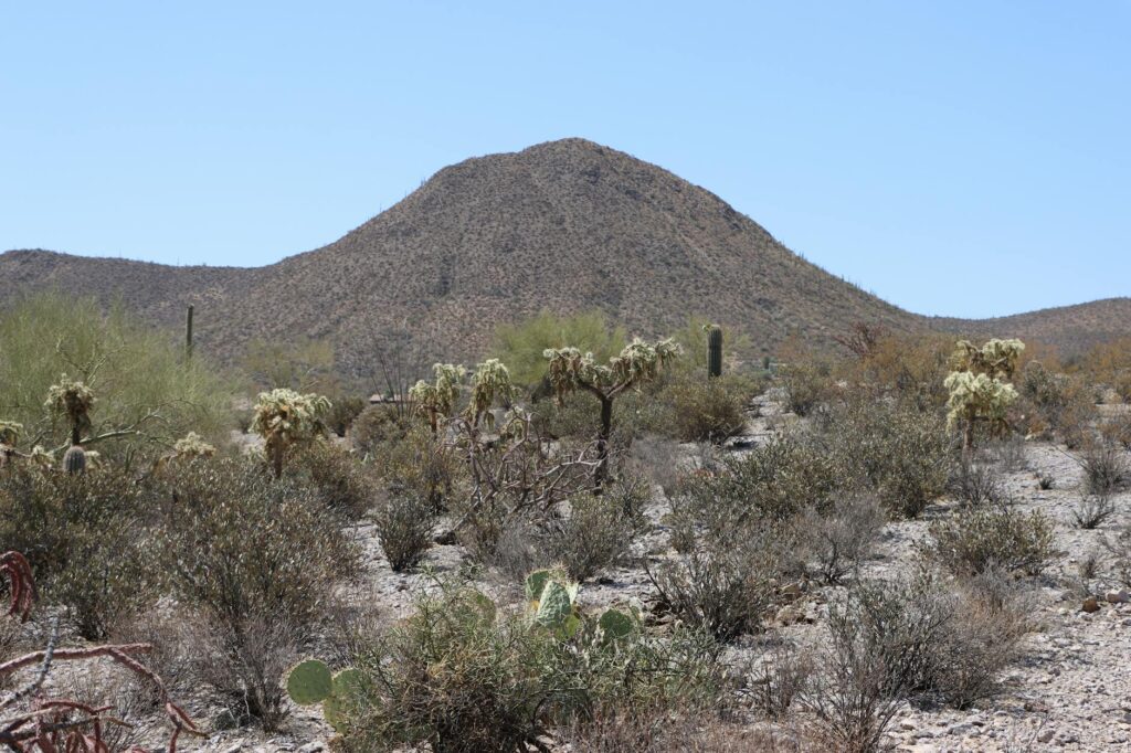 Arizona desert sunset