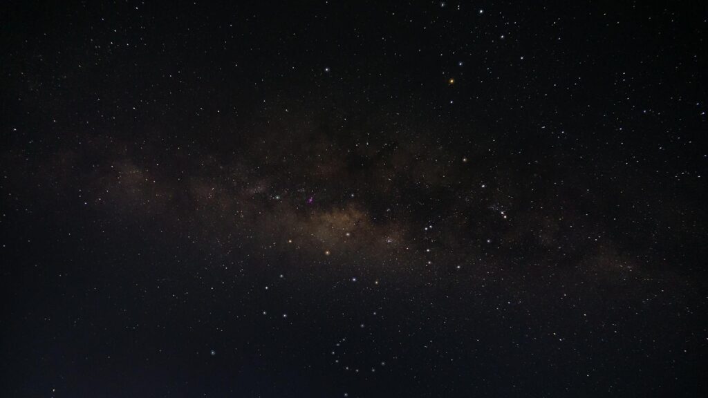 Carlos Scola Pliego portrait