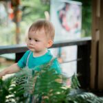 child exploring rocks