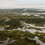 Delta region fitness